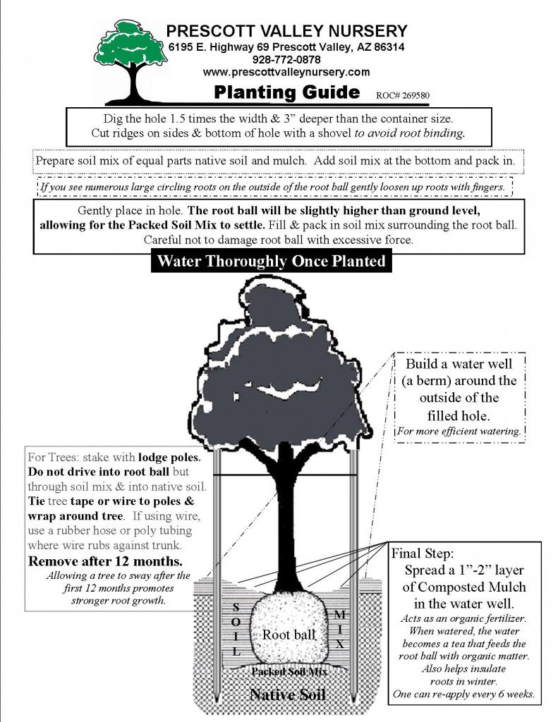planting guide(PVN TREE)